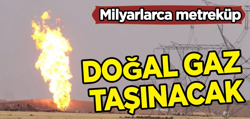 Cezayir'in Medgaz boru hattında milyarlarca metreküp doğal gaz taşınacak! Enerji krizinde fırsat