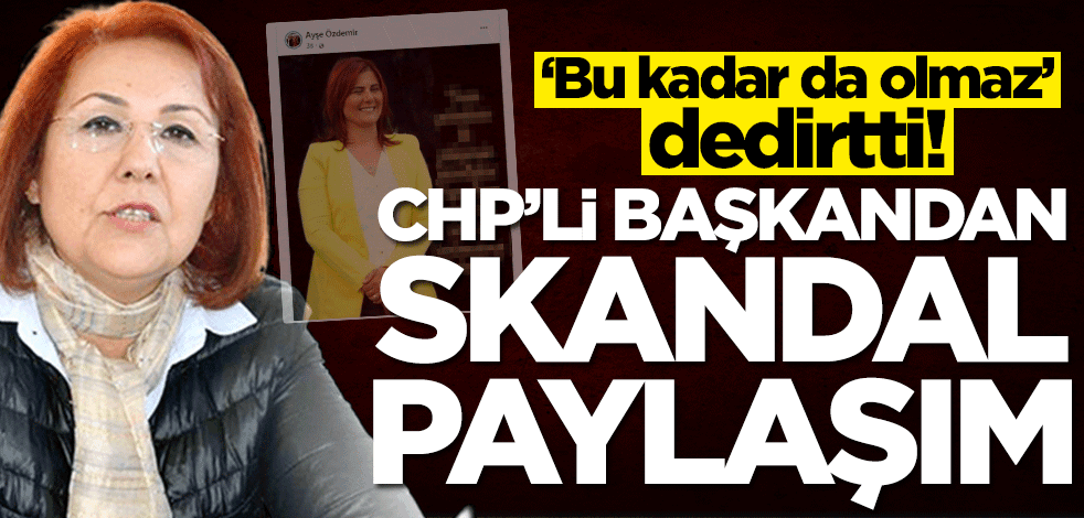 CHP Aydın Kadın Kolları Başkanı Ayşe Özdemir'den skandal paylaşım