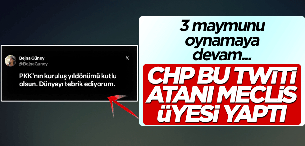 CHP bu twiti atanı meclis üyesi yaptı! 3 maymunu oynamaya devam...