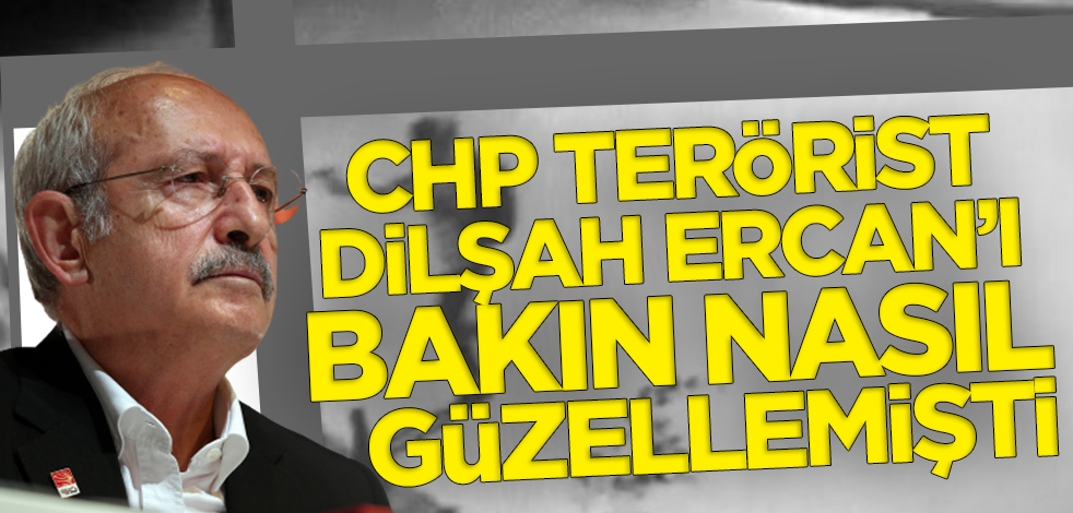 CHP Dilşah Ercan'ı böyle güzellemişti! 'Görüştüklerimiz arasında eli silahlı terörist göremedik'
