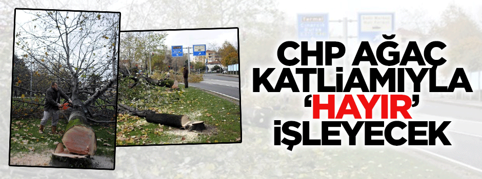 CHP, fakire kestiği ağaçları dağıtacak!