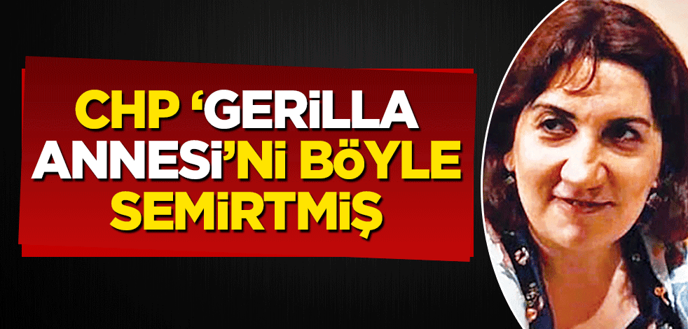 CHP ‘gerilla annesi’ni böyle semirtmiş