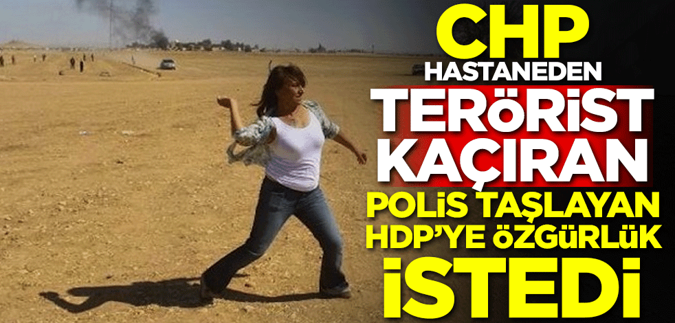 CHP, hastaneden terörist kaçıran, polis taşlayan HDP'liye özgürlük istedi