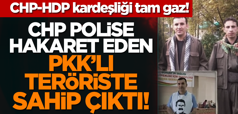 CHP-HDP kardeşliği tam gaz! CHP Polise hakaret eden PKK’lı teröriste sahip çıktı!