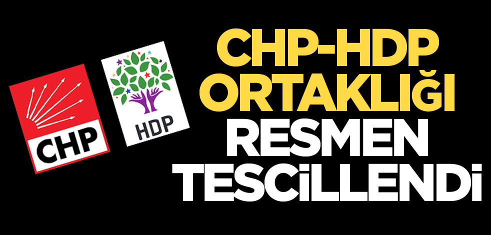 CHP-HDP ortaklığı resmen tescillendi
