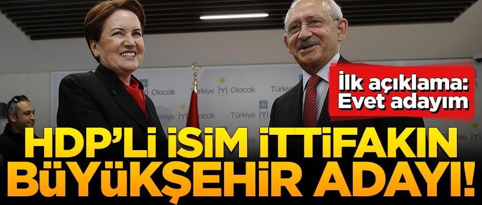 CHP-İP ittifakı HDP'li ismi aday gösterdi!