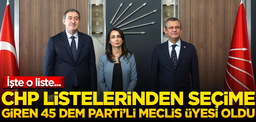 CHP listelerinden seçime giren 43 DEM Parti’li, meclis üyesi oldu