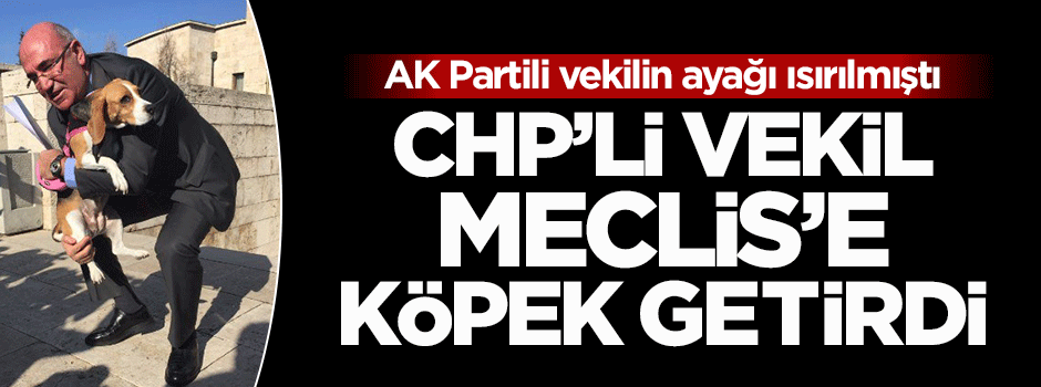 CHP Meclis'e köpek getirdi