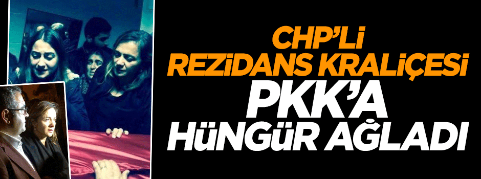 CHP Milletvekili Gamze Akkşu İlgezdi PKK'lılar için ağladı