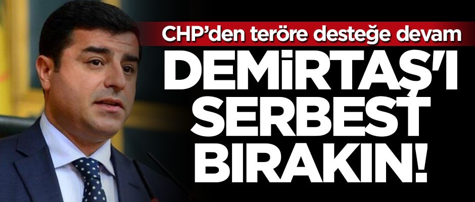 CHP Milletvekili Mehmet Bekaroğlu: Demirtaş'ı serbest bırakın
