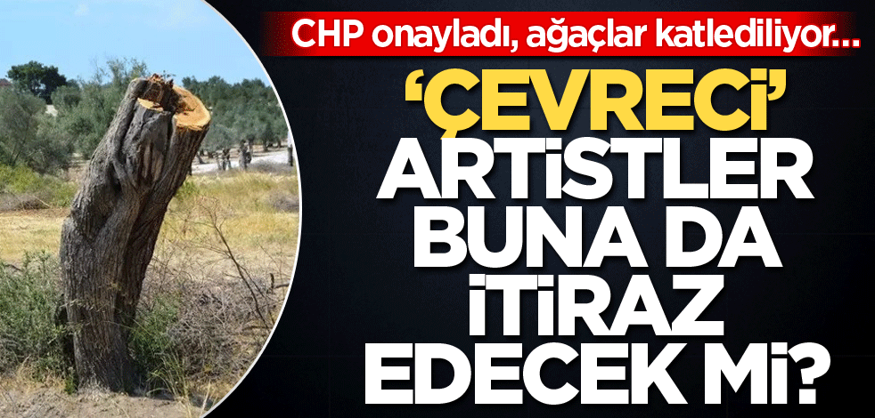 CHP onayladı, ağaçlar katlediliyor… ‘Çevreci’ artistler buna da itiraz edecek mi?
