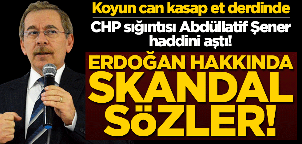 CHP sığıntısı Abdüllatif Şener haddini aştı! Cumhurbaşkanı Erdoğan hakkında skandal sözler
