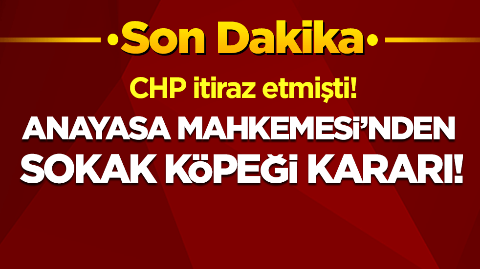 CHP'nin sokak köpekleri itirazı: AYM'den son dakika kararı!