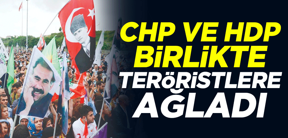CHP ve HDP birlikte teröristlere ağladı