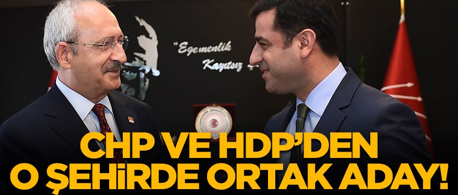 CHP ve HDP'den ortak aday! Resmen açıkladılar