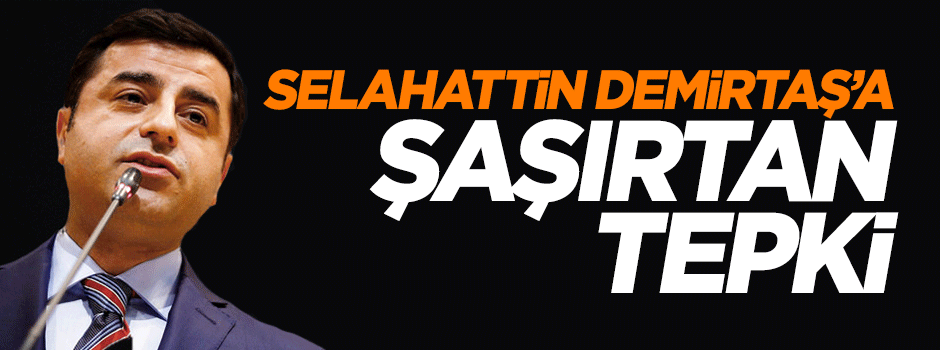 CHP ve MHP'den Selahattin Demirtaş'a şaşırtan tepki