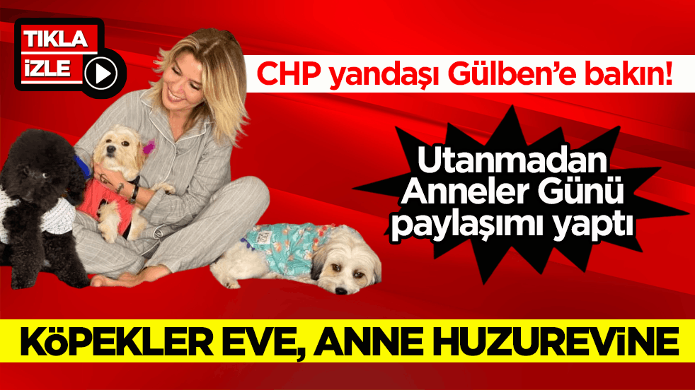 CHP yandaşı Gülben’e bakın! Köpekler eve, anne huzurevine