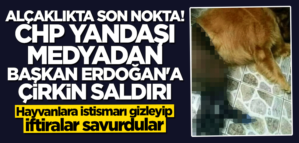 CHP yandaşı medyadan Cumhurbaşkanı Erdoğan'a alçak iftira! Hayvanlara istismarı gizlediler