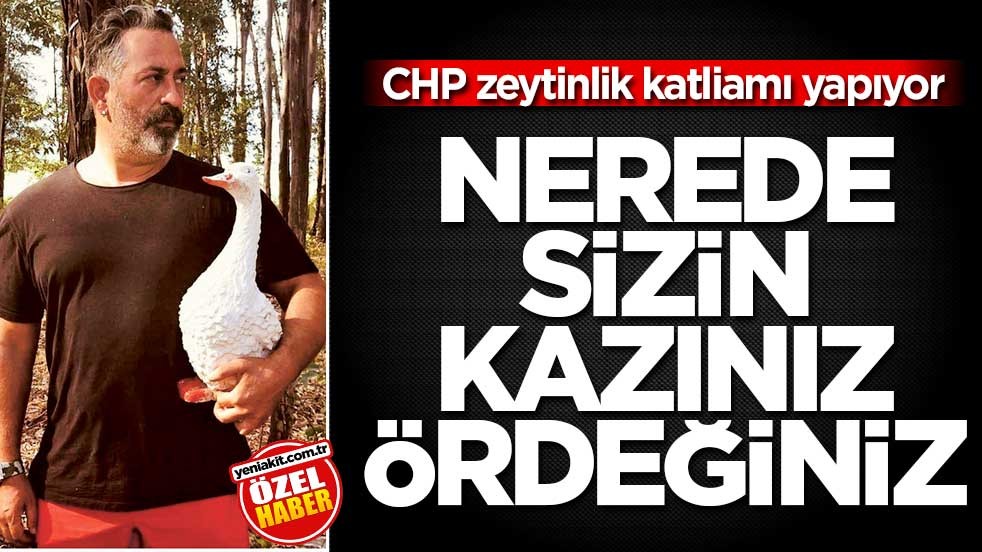 CHP zeytinlik katliamı yapıyor! Nerede sizin kazınız, ördeğiniz
