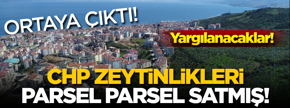 CHP'li Mudanya Belediyesi'nin 107 parseli zeytinlik alandan arsaya çevirdiği tespit edildi