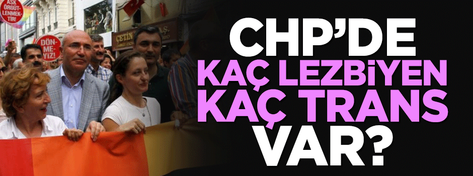 CHP’de kaç lezbiyen, kaç trans var?