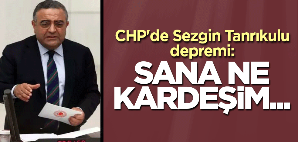 CHP'de Sezgin Tanrıkulu depremi: Sana ne kardeşim...