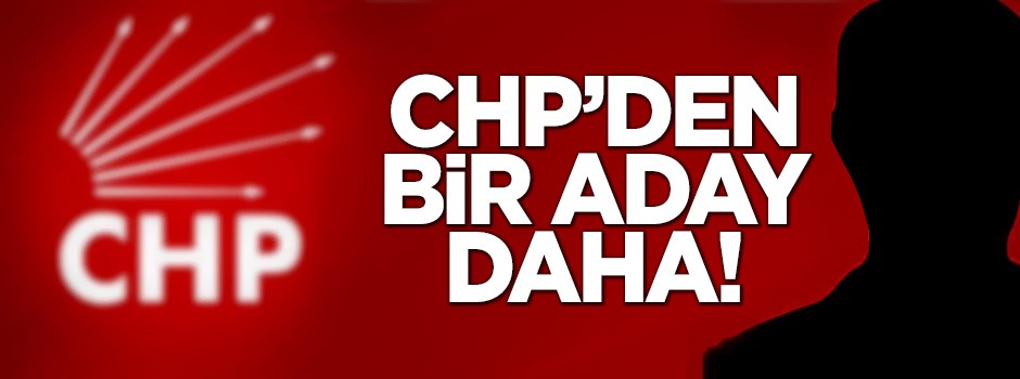 CHP'den cumhurbaşkanlığına bir aday daha: Rıza Türmen