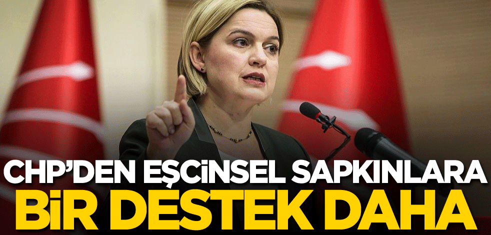CHP'den eşcinsel sapkınlara bir destek daha!