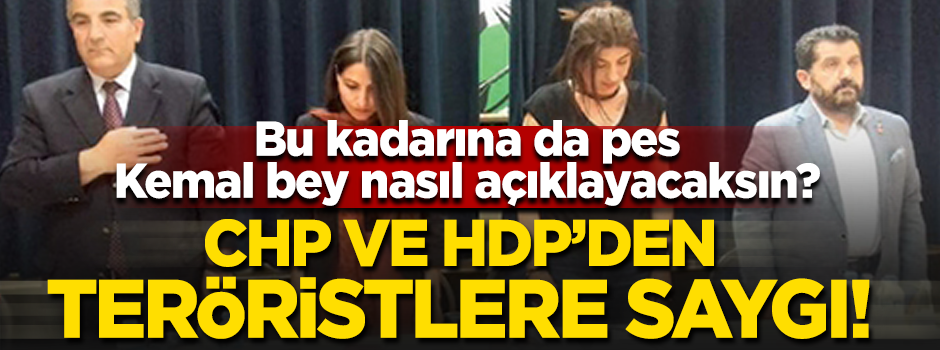 CHP'den HDP ile birlikte teröristlere saygı duruşu!