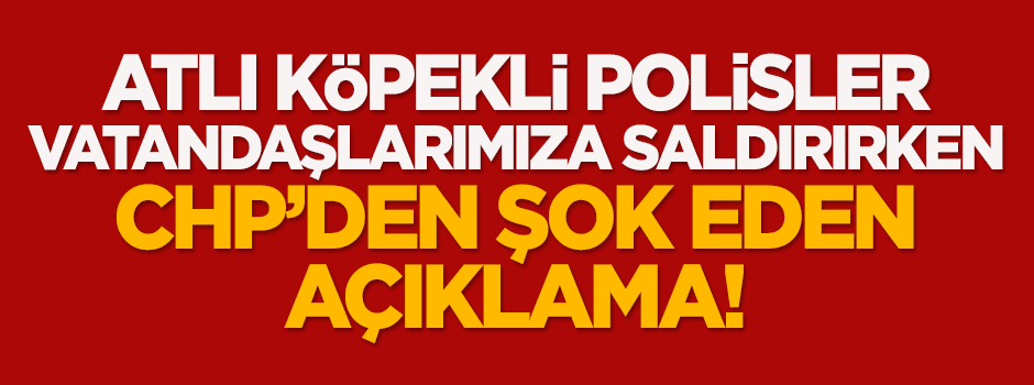 CHP'den tepki çeken Hollanda açıklaması!