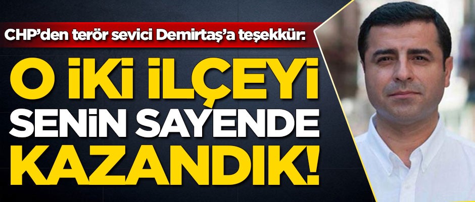 CHP'den terör sevici Selahattin Demirtaş'a teşekkür: O iki ilçeyi senin sayende kazandık
