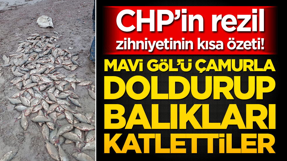 CHP’in rezil zihniyetinin kısa özeti! Mavi Göl’ü çamurla doldurup balıkları katlettiler