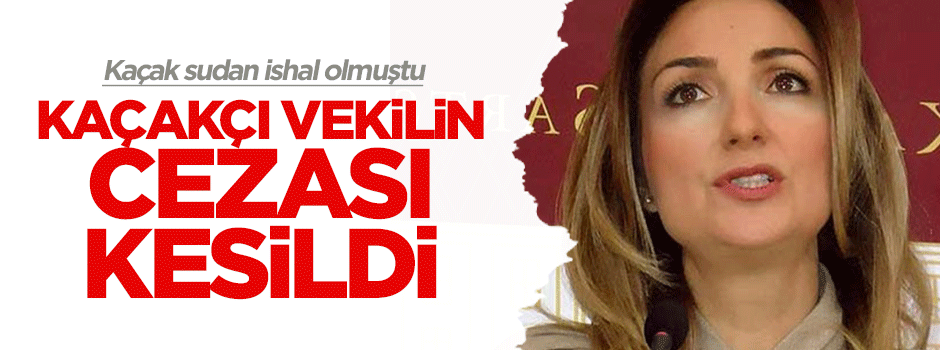 CHP'li Aylin Nazlıaka'ya kaçak su cezası