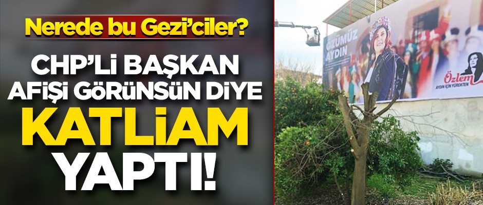 CHP’li başkan afişi görünsün diye ağaçları biçtirdi!