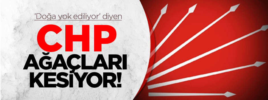 CHP'li başkan ağaçları kesiyor