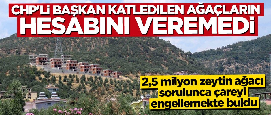 CHP'li Başkan katledilen ağaçların hesabını veremedi