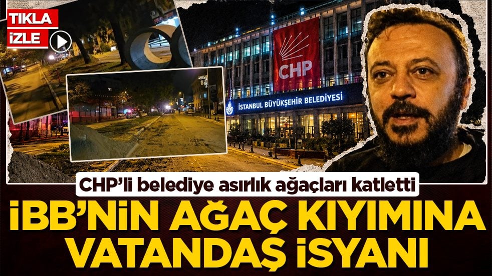 CHP’li belediye asırlık ağaçları katletti: İBB’nin ağaç kıyımına vatandaş isyanı!