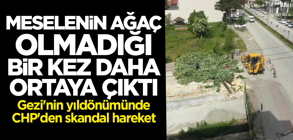 CHP'li belediye Gezi'nin yıl dönümünde ağaç kesti