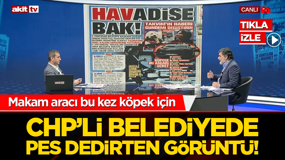 CHP’li belediyede pes dedirten görüntü! Makam aracı bu kez köpek için