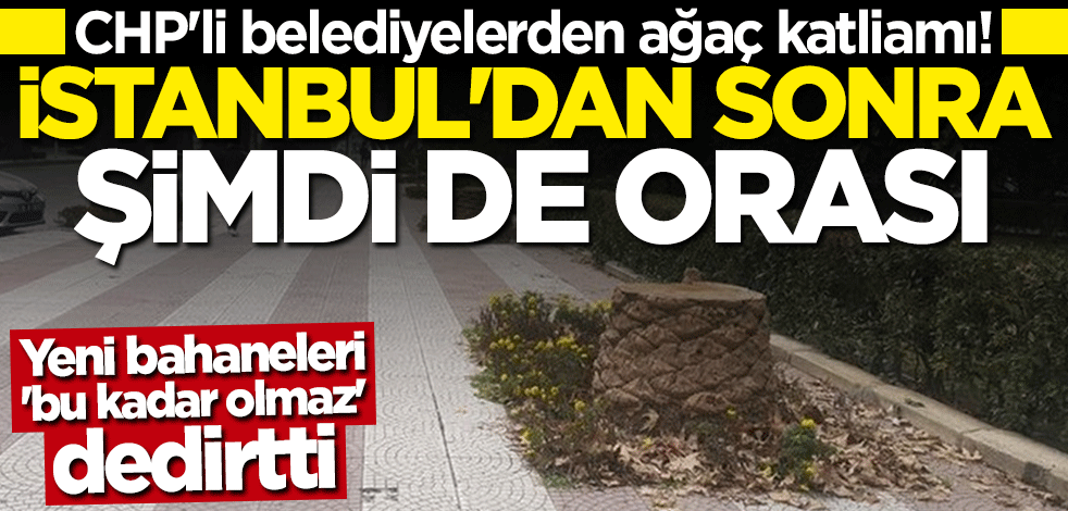 CHP'li belediyelerden ağaç katliamı! İstanbul'dan sonra şimdi de orası