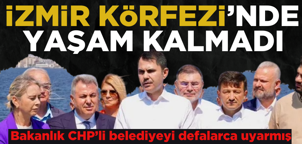 CHP’li belediyenin vurdumduymazlığı, Körfezdeki yaşamı bitirdi