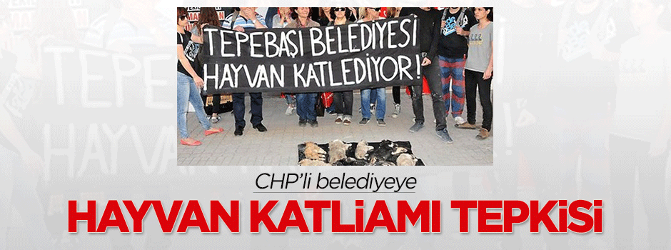 CHP'li belediyeye hayvan katliamı tepkisi
