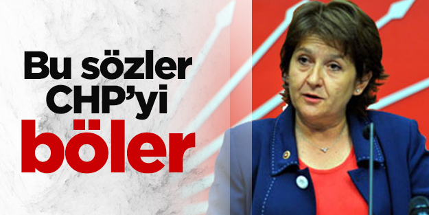 CHP'li Birgül Ayman Güler : "Başımıza çuval geçirdiler"