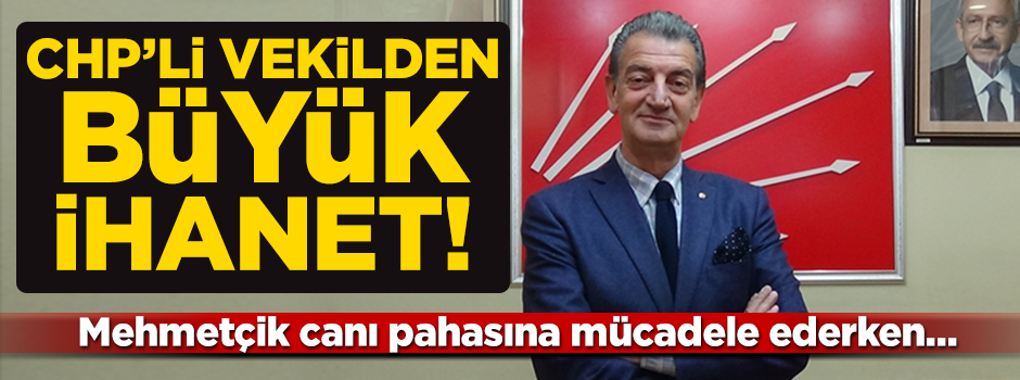 CHP’li Bozkurt'tan ihanet! Zeytin Dalı'nı hedef aldı