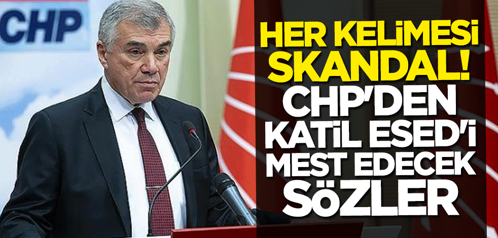 CHP'li Çeviköz'den skandal sözler: Egemenlik hakları ihlal ediliyor