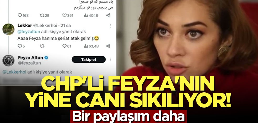 CHP'li Feyza'nın yine canı sıkılıyor! Bir paylaşım daha