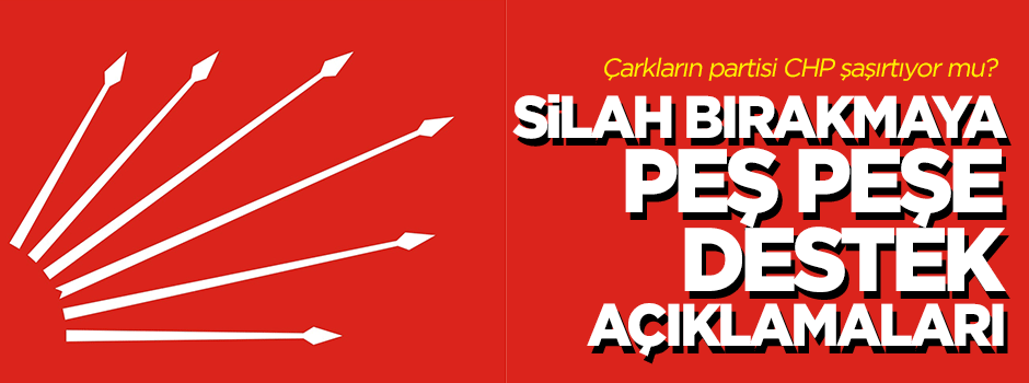 CHP'li Gök ve Altay: Silah bırakılacaksa memnun oluruz