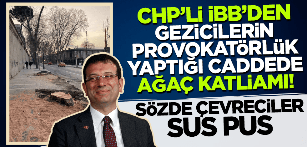 CHP'li İBB'den gezicilerin provokatörlük yaptığı caddede ağaç katliamı!