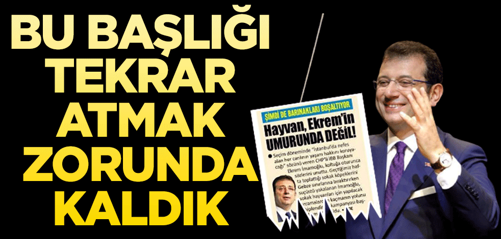 CHP'li İBB'ye bağlı İSKİ hayvanlara eziyet oldu