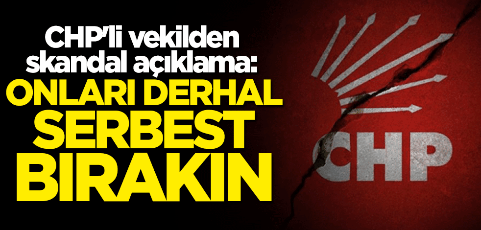 CHP’li İbrahim Kaboğlu'ndan skandal açıklama: Derhal serbest bırakın